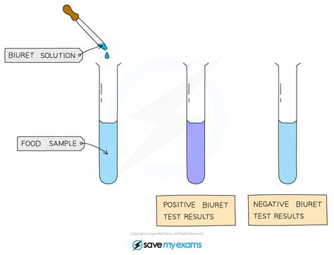 1.3.5 Biochemical Tests: Proteins .